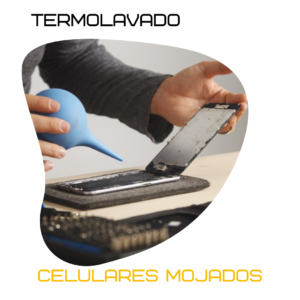 belgranocell (4)